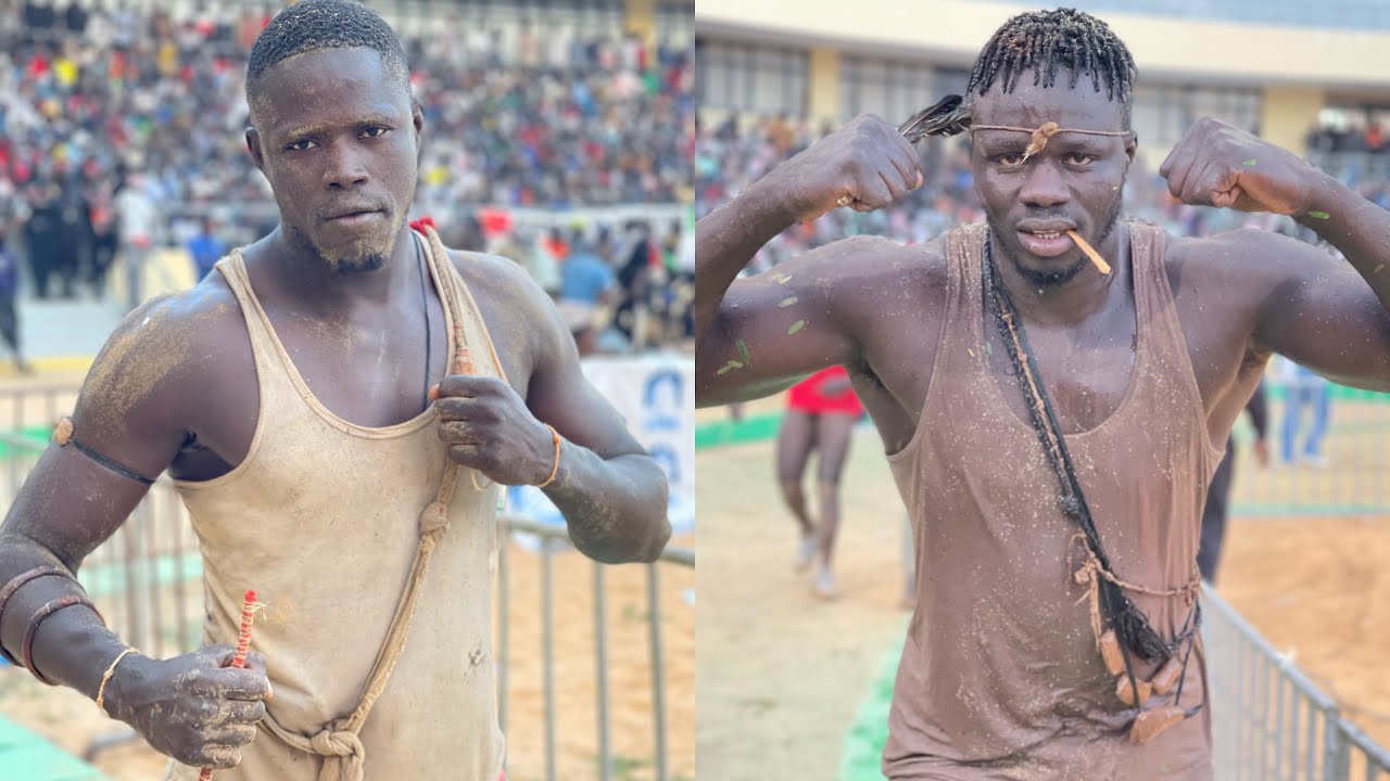 combat choc revanche ngagne sene vs pape ngane soxsox &agrave; l&rsquo;ar&egrave;ne national le 2 f&eacute;vrier 2025