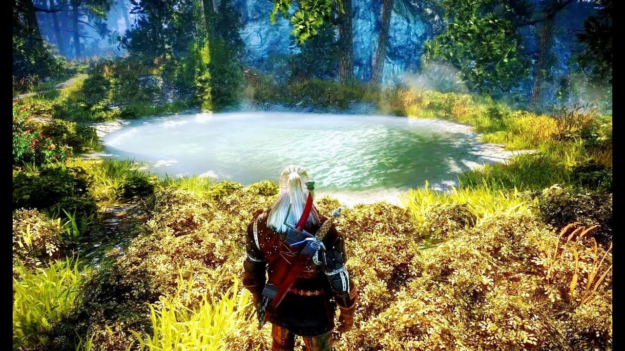 The Beauty of THE WITCHER 2 (insane details, landscapes)