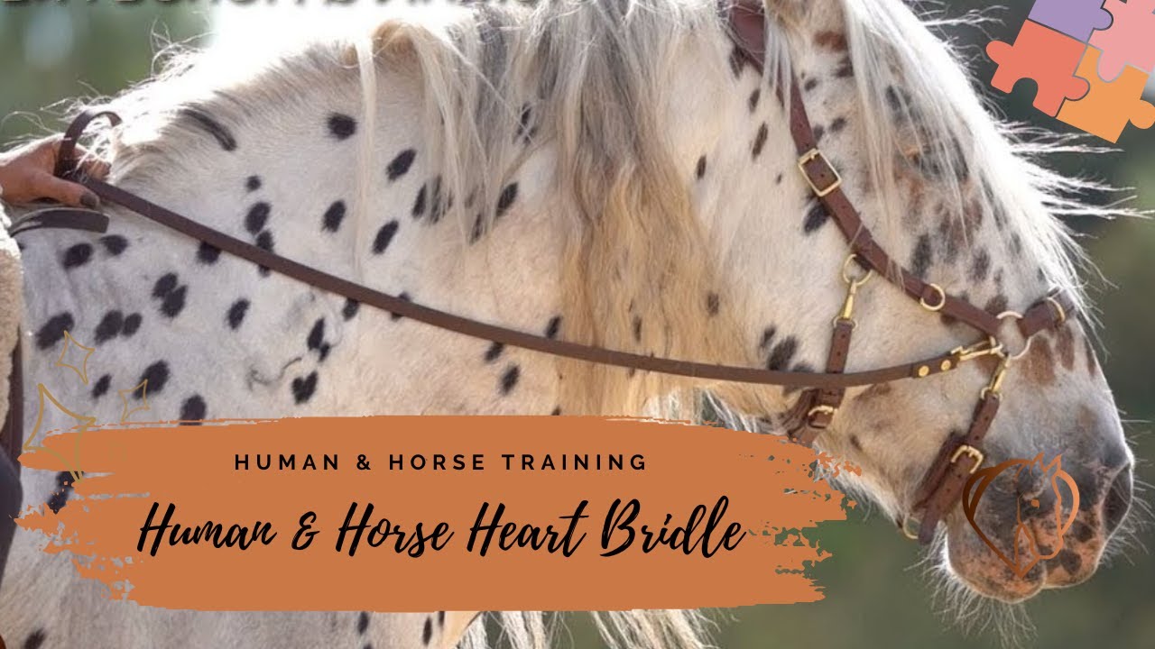 HUMAN & HORSE HEART BRIDLE ✨💖