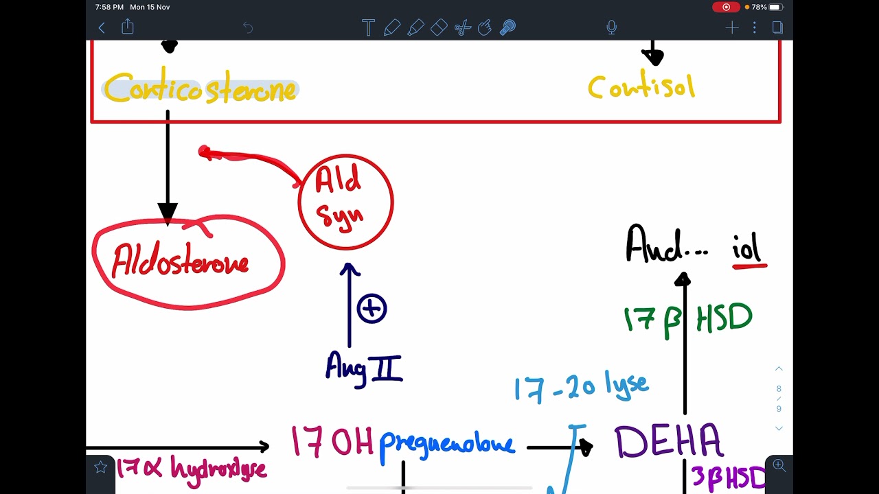 Steroid Hormone synthesis | KSAU hs 2021 |