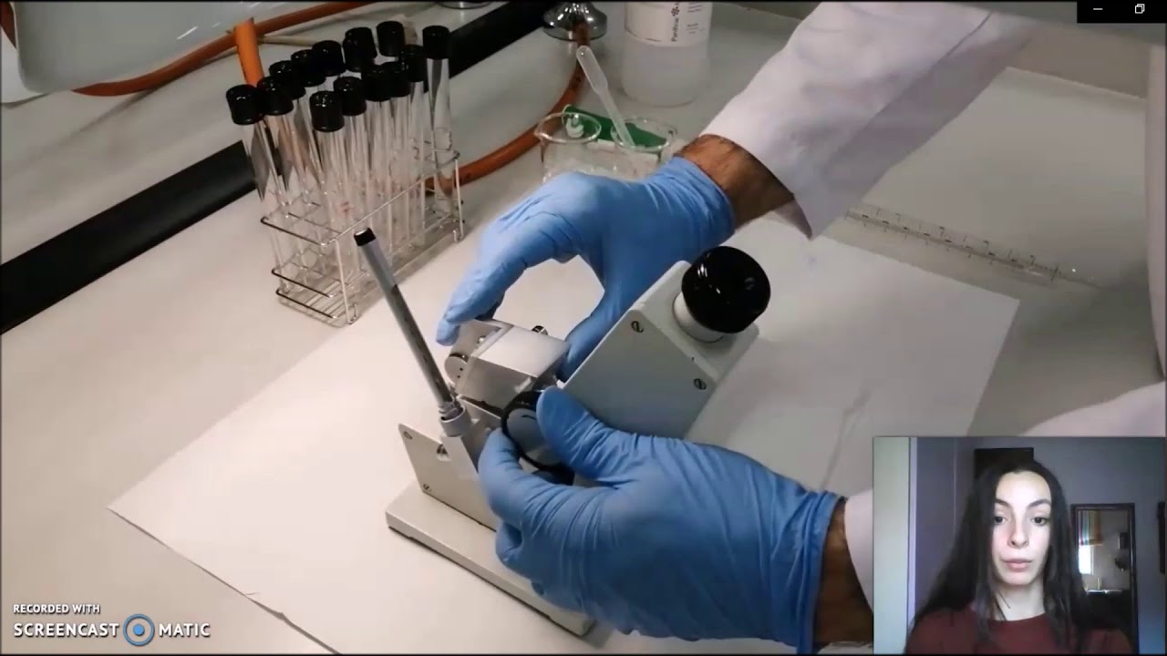 Práctica Refractometría