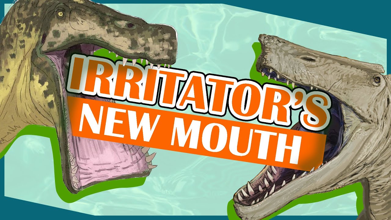 Irritator's New Mouth