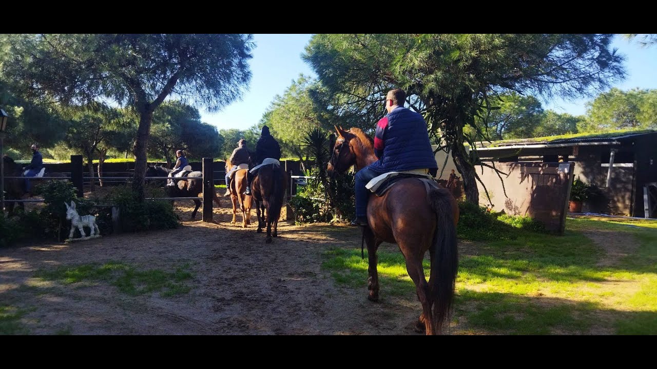 Actualidad | Jornadas de Puertas Abiertas Doñana Hípica Pasodoble