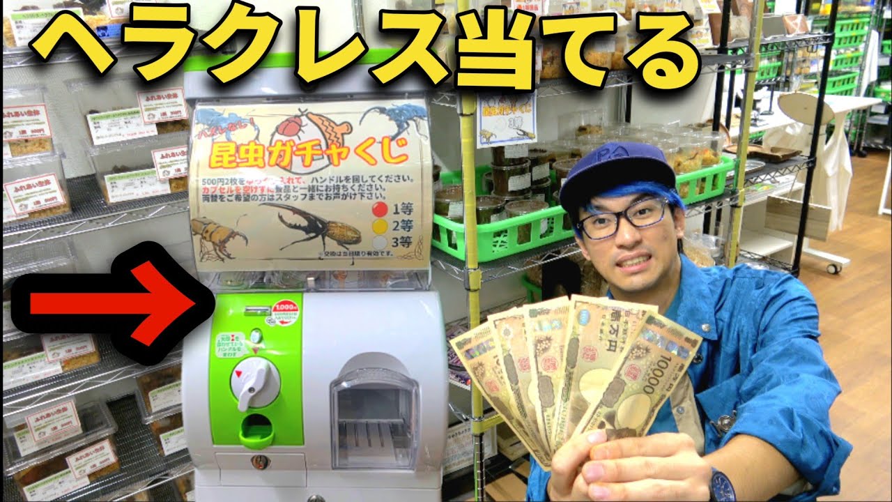 1回1000円の激甘昆虫ガチャを当たるまで回したら事件の始まりすぎた