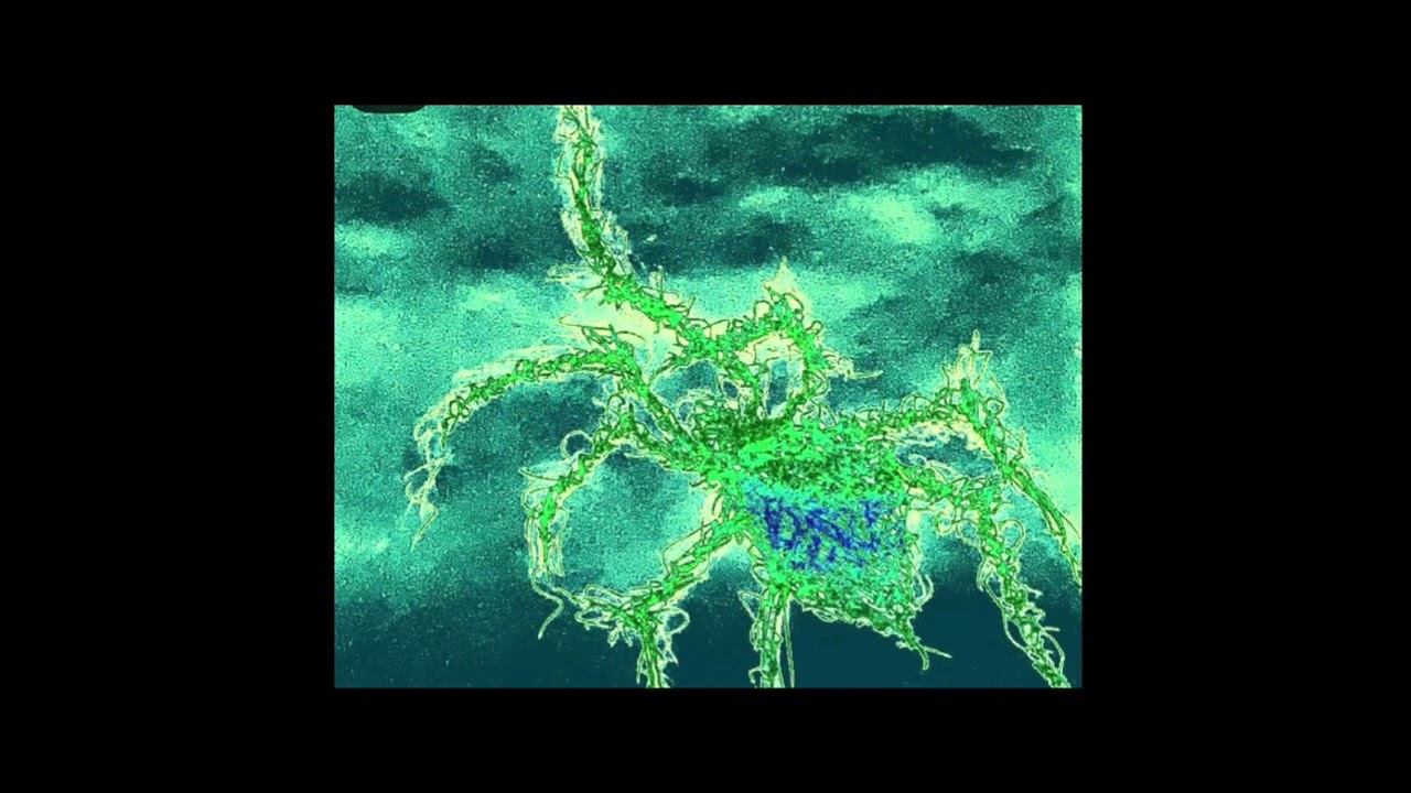 XXXTENTACION x juicewlrd ambient beat “loner”