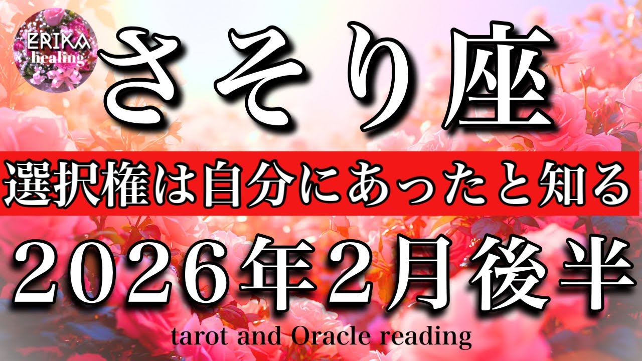 さそり座♏️2026年2月後半タロット🌕好きなモノ、だけでいい！選択権は自分にあったと知る　Scorpio tarot reading 