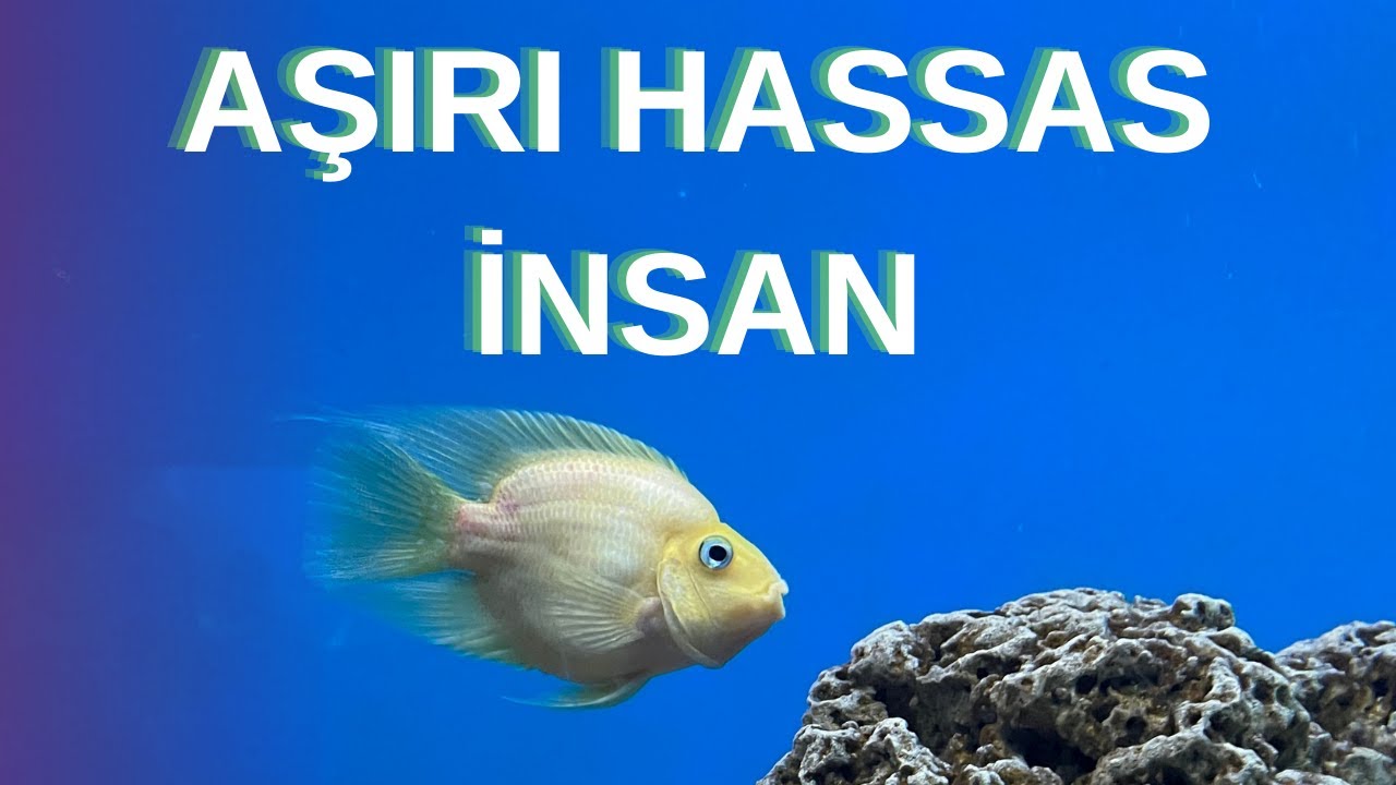 Aşırı Hassas İnsan | Kendinle Barış