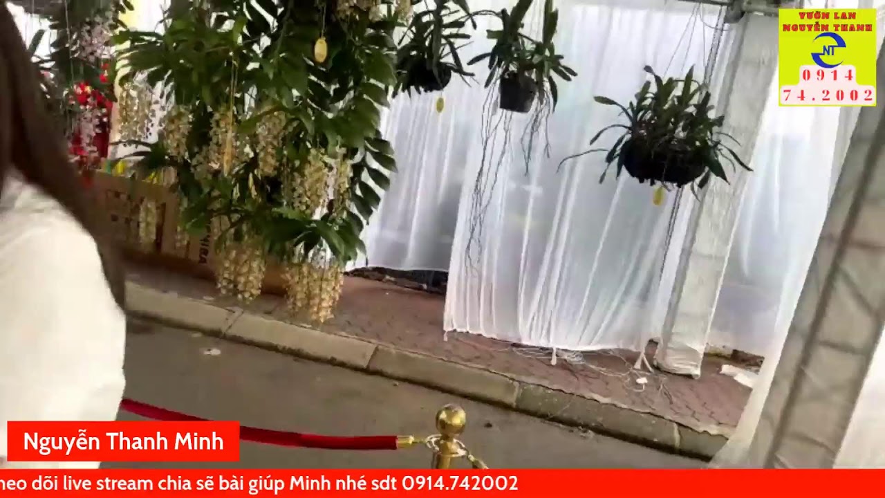 Hội thi lan chợ hoa Vạn Phúc, Hà Đông, Hà Nội lần thứ 16