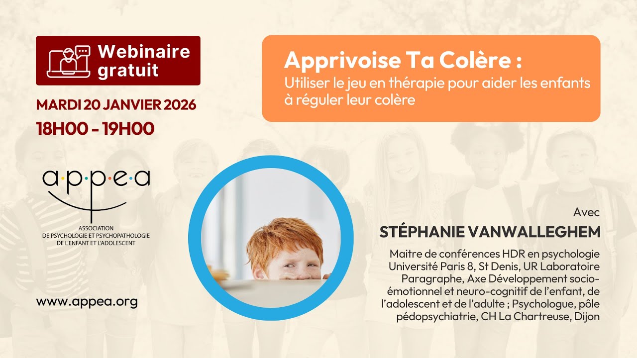 Apprivoise Ta Colère : Utiliser le jeu en thérapie pour aider les enfants à réguler leur colère