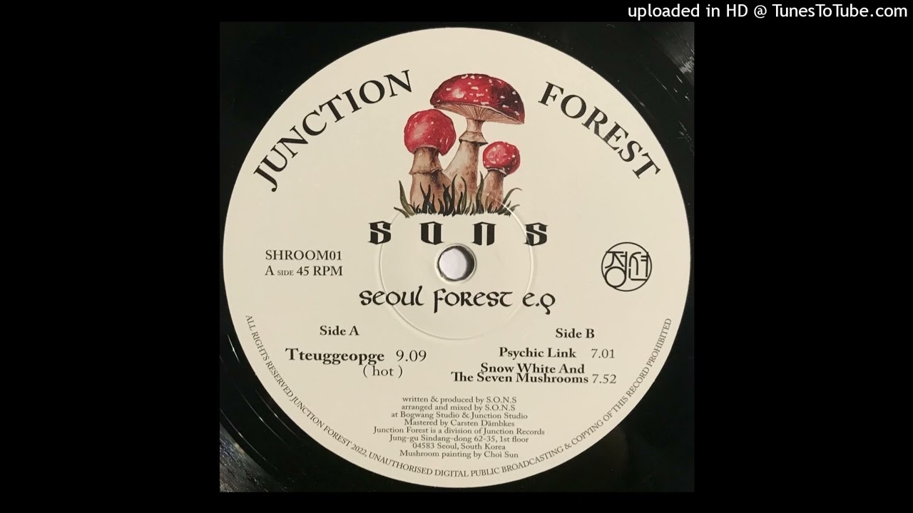 S.O.N.S - Tteuggeopge (Hot)