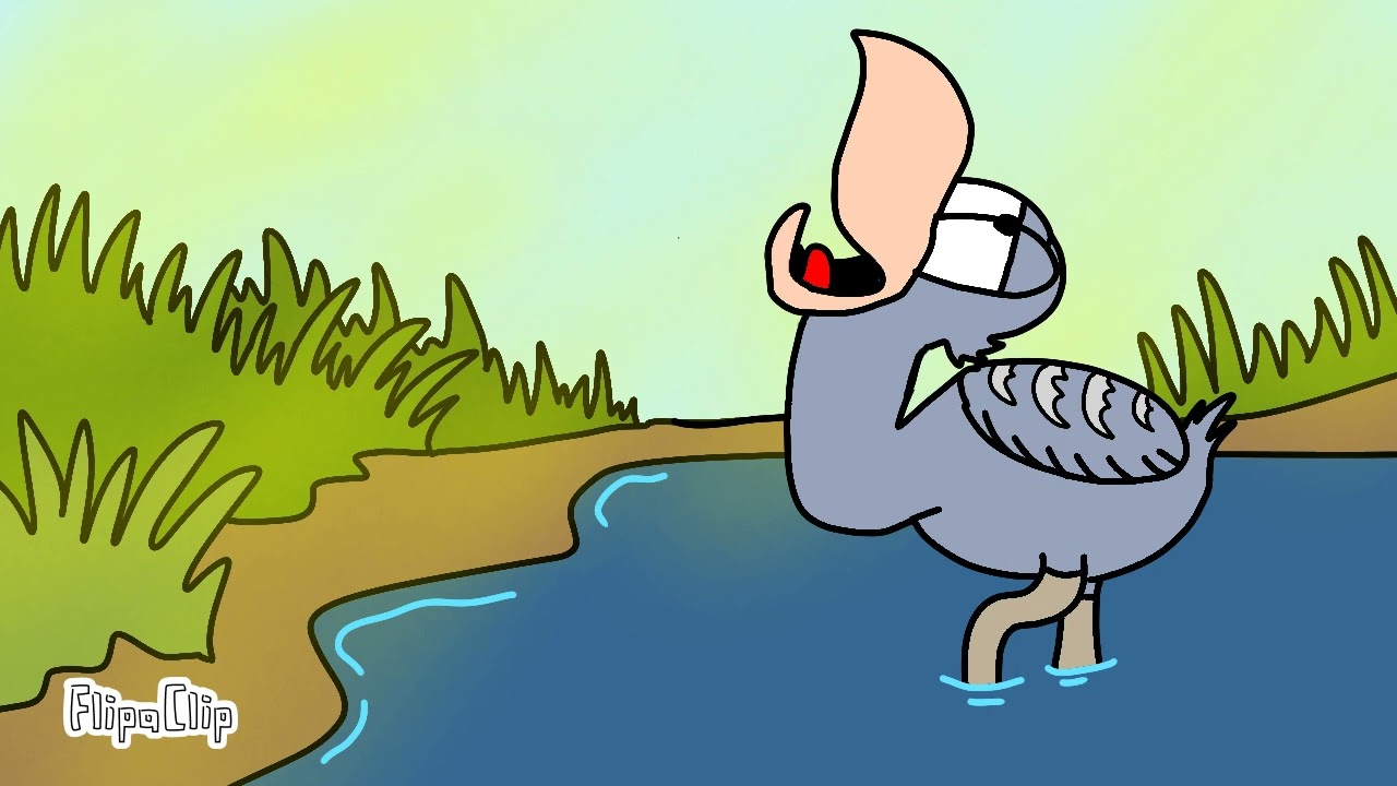 shoebill stork sound