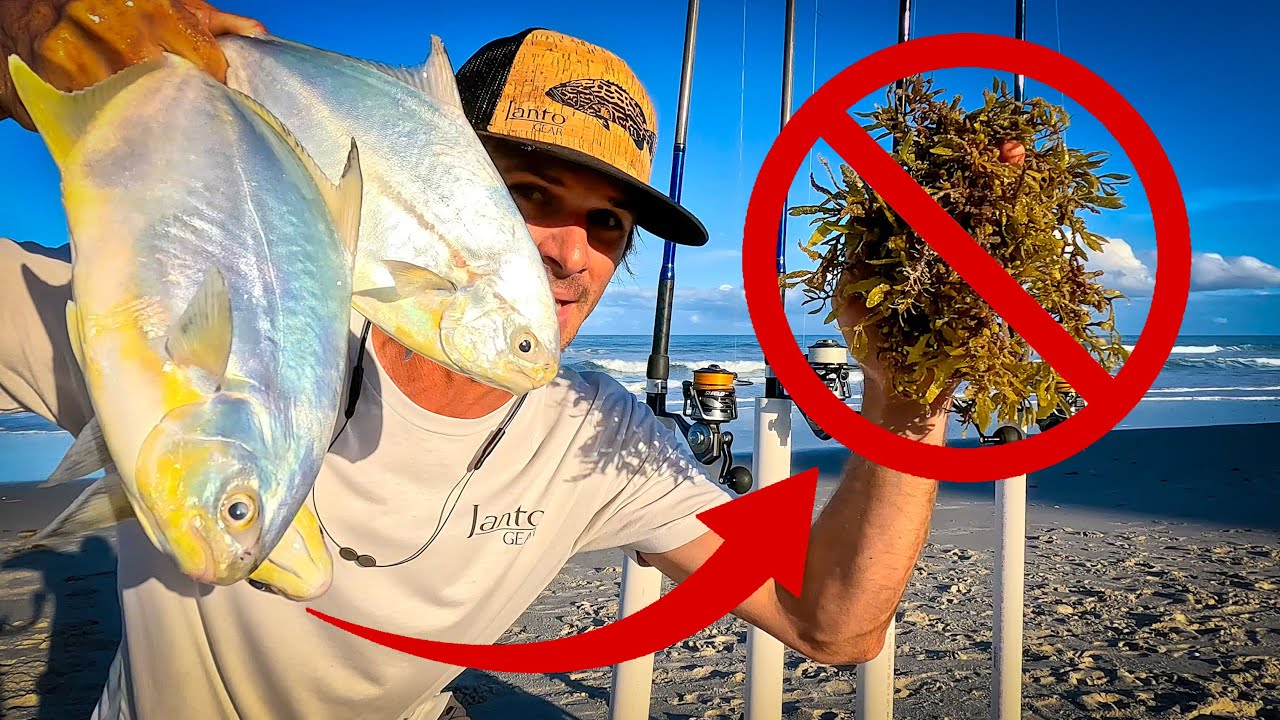 This will RUIN Fishing from the Beach | Florida Pompano for Dinner