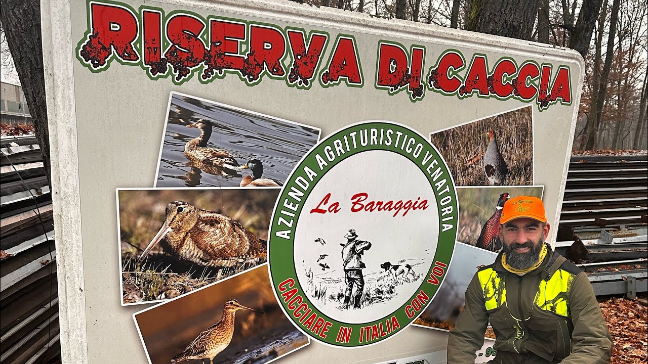 Caccia in riserva LA BARAGGIA fagiano pernice  ODRACAM PRO GOPRO 13 #hunting #caccia #chasse #birds 