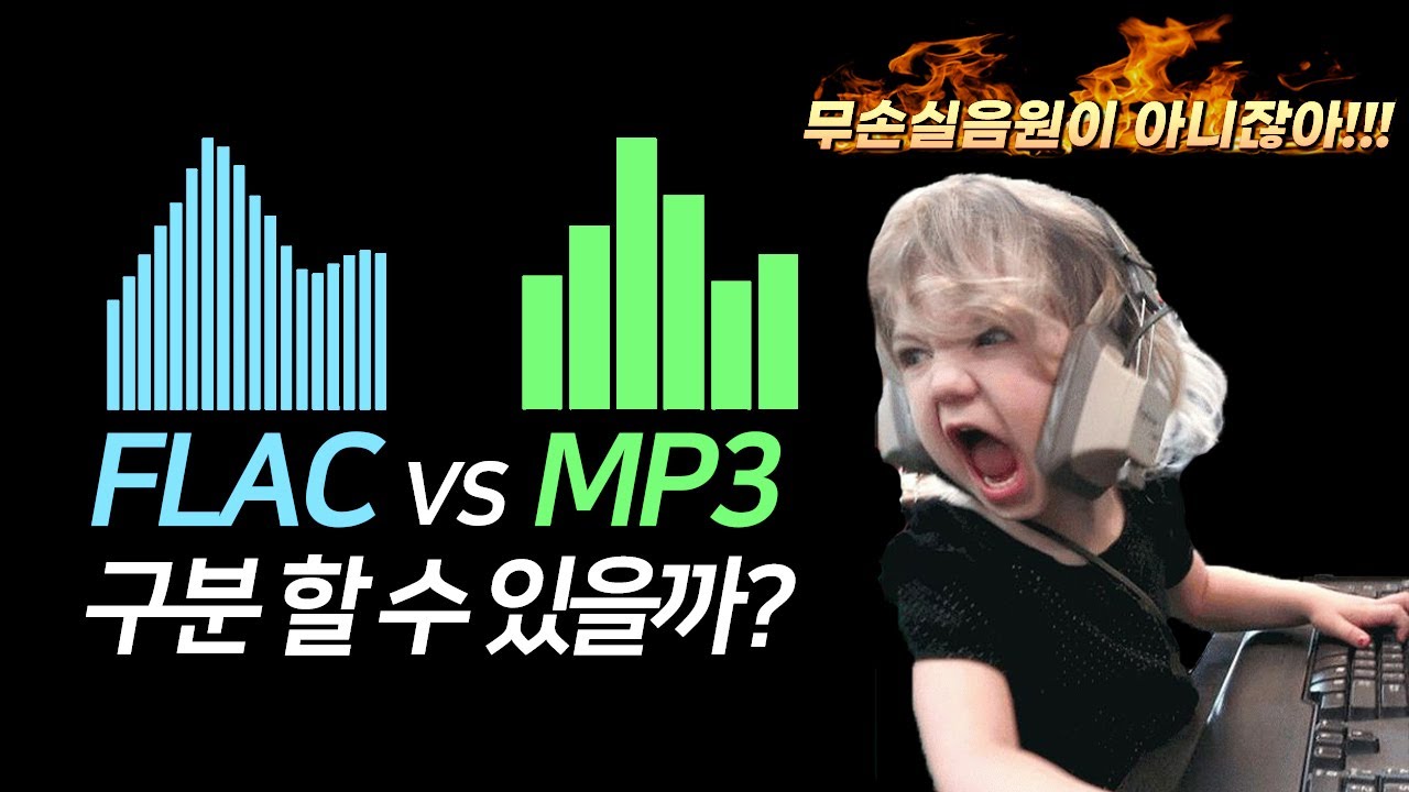[구독자 질문] 고음질과 저음질 음원, 무슨 차이? 구분할 수 있나요?
