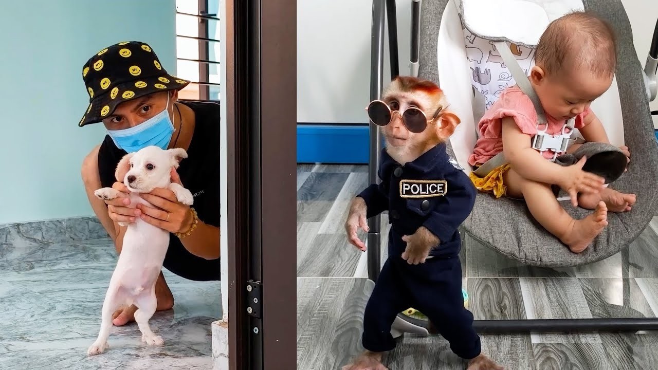 Monkey Kaka acts as a police officer to protect Diem from a thief.