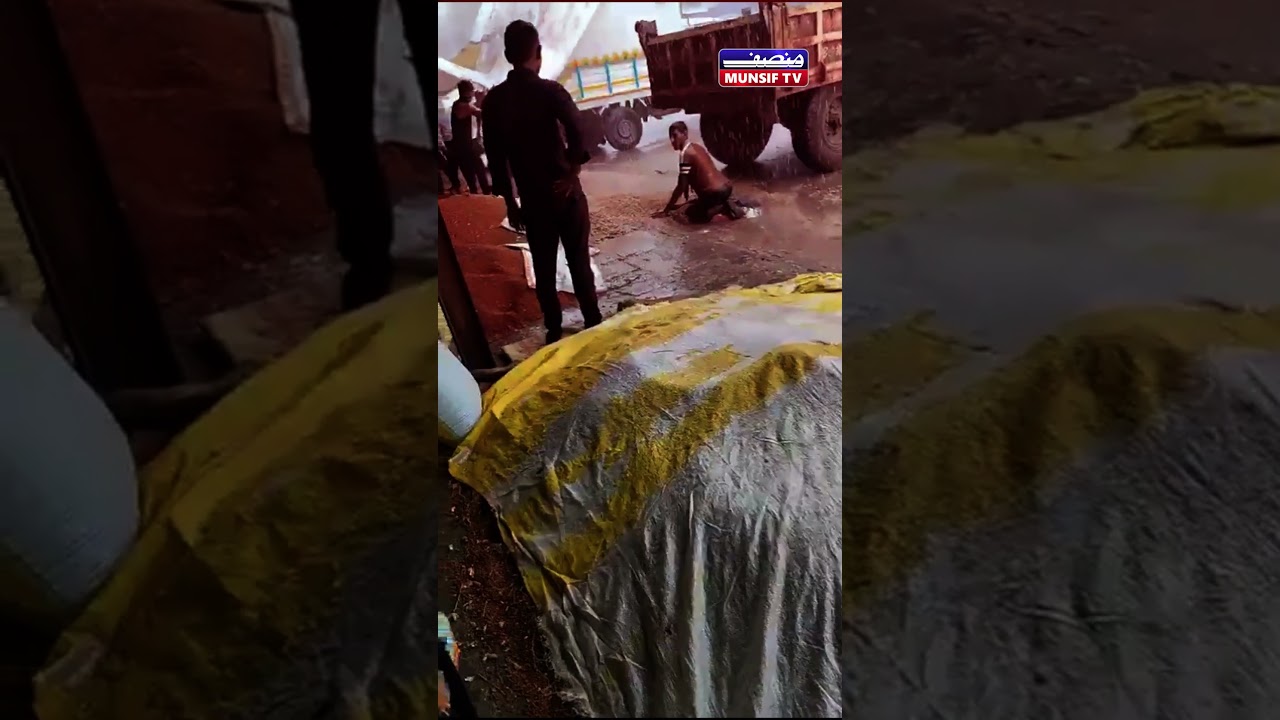Heartbreaking: Farmer&rsquo;s Hard Work Washed Away in Floodwaters | Washim, Maharashtra