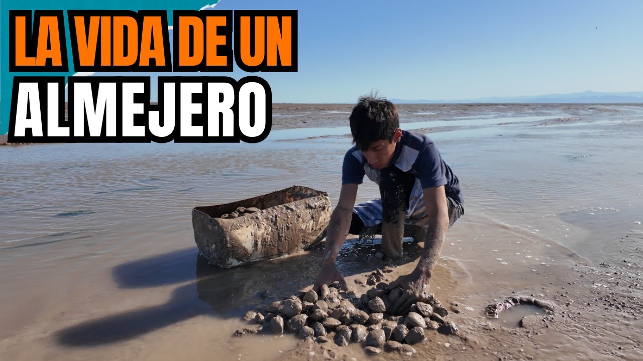 ASÍ SACAN ALMEJAS EN EL GOLFO DE SANTA CLARA | Ivancito Mendoza y su vida