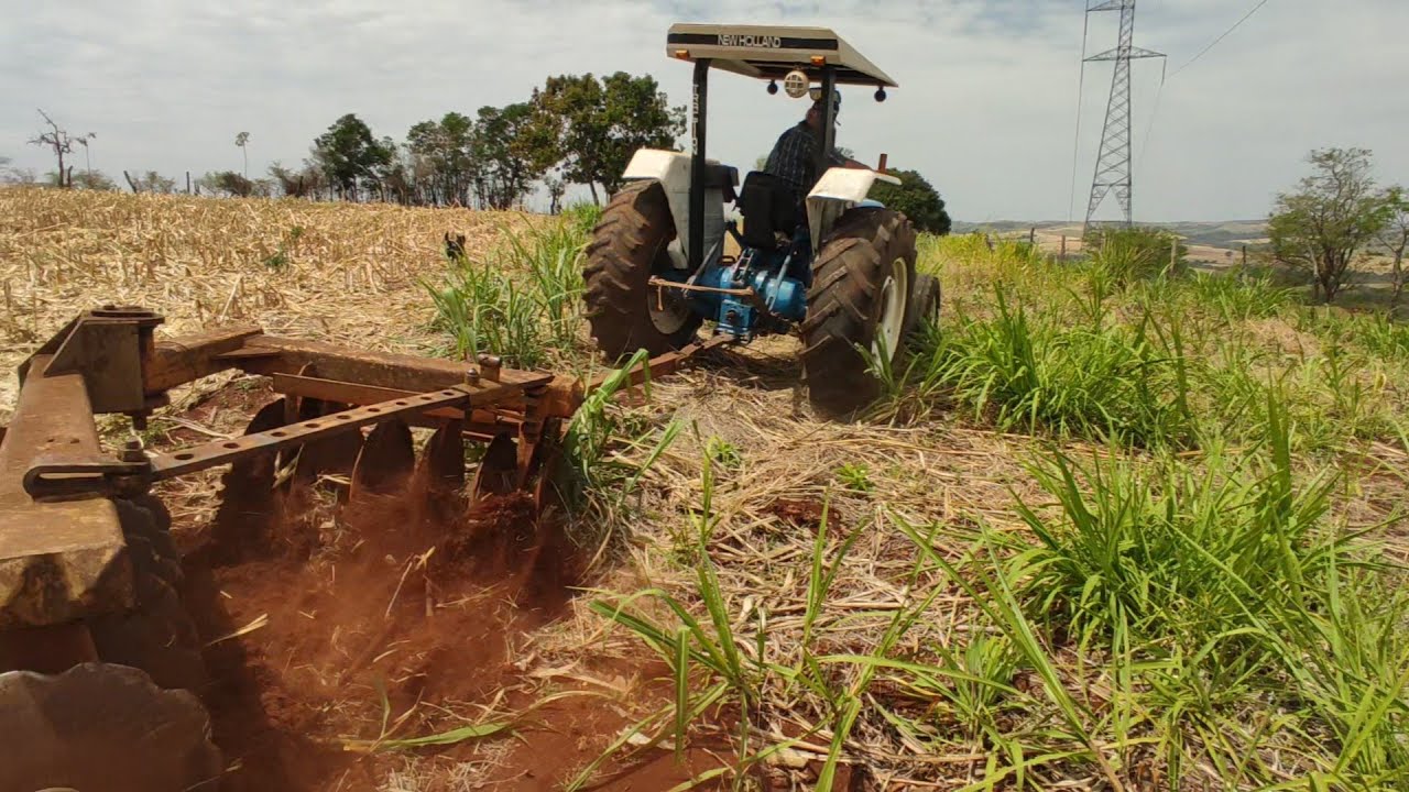 🚜 Trator Ford 4630 Gradeando com Grandão 12 Discos – 1 Alqueire no Bruto! 🌱💪