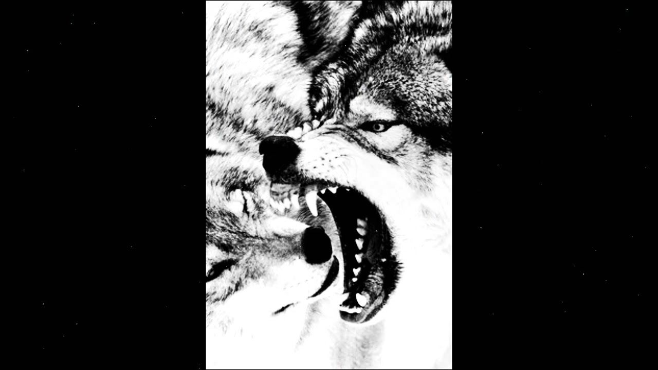 korathink x BLXSER - OVERWRITE