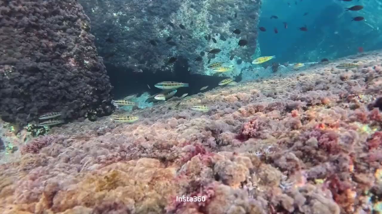 Origine-Immersione in apnea nel paradiso dello ionio.