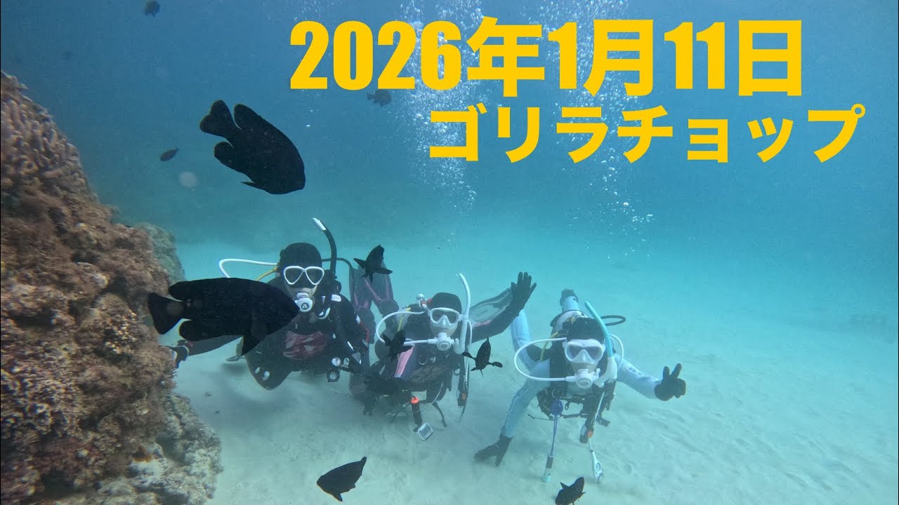2026年1月11日　ゴリラチョップ　ファンダイビング