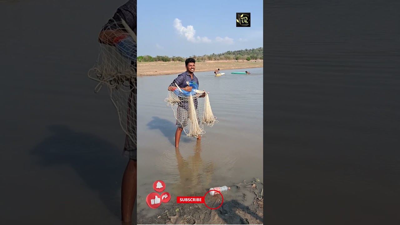 cast net throwing in a simple way #telangana #fish #fishing #castnetfishing #castnet #shorts #short