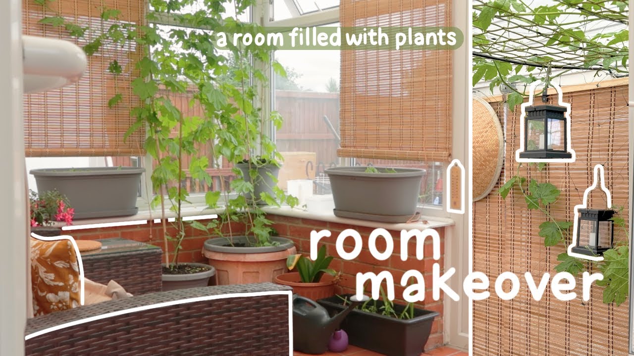 A room filled with plants ☀️ cosy sun room, conservatory makeover