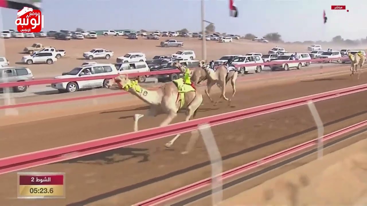 الشوط 2 بندقية (شاهين) لـ حمد مسلم متعب العامري 5:44 , مهرجان محمد بن زايد 2023/12/26 حقايق السوان
