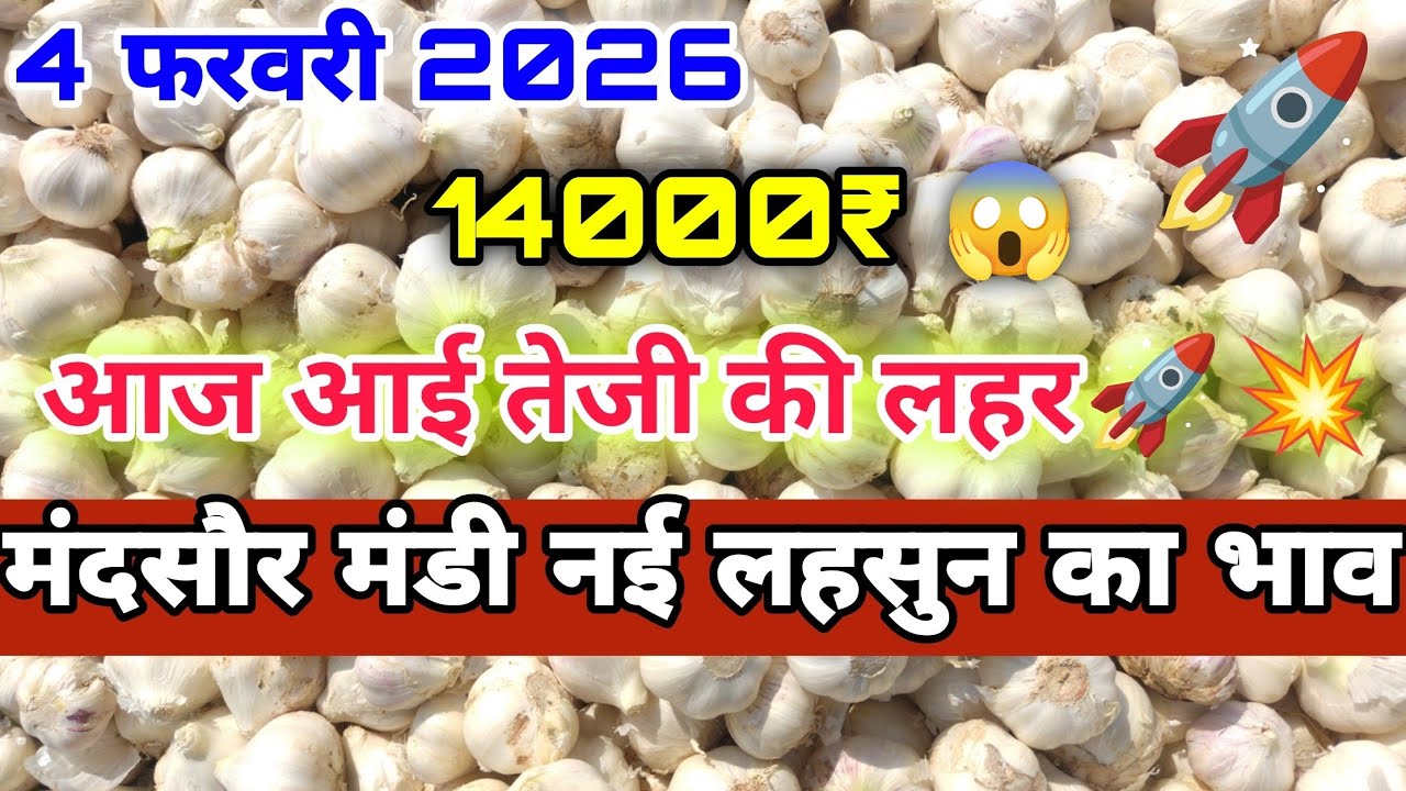 4 February 2026 new ooty lahsun ka bhav Mandsaur Mandi | Mandsaur mandi bhav | Ooty garlic