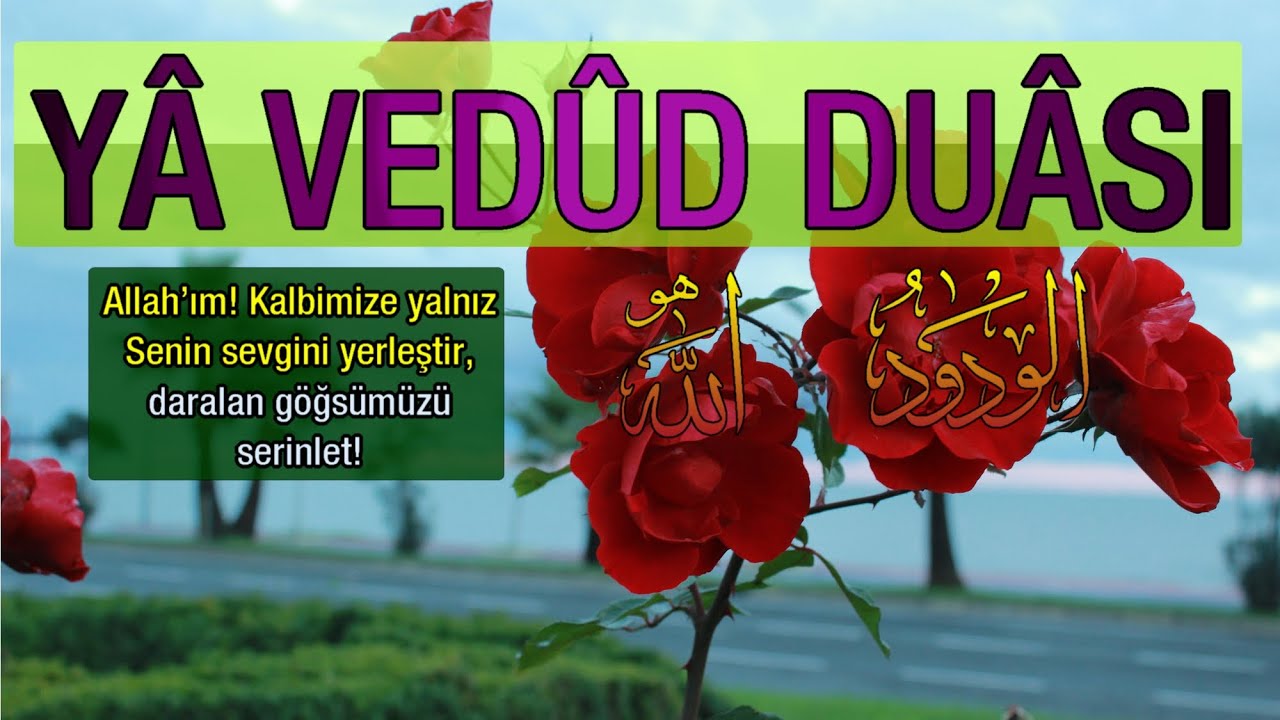 Yâ Vedud Duası- Allah kalbimize sevgini yerleştirsin, göğsümüzü serinletsin!