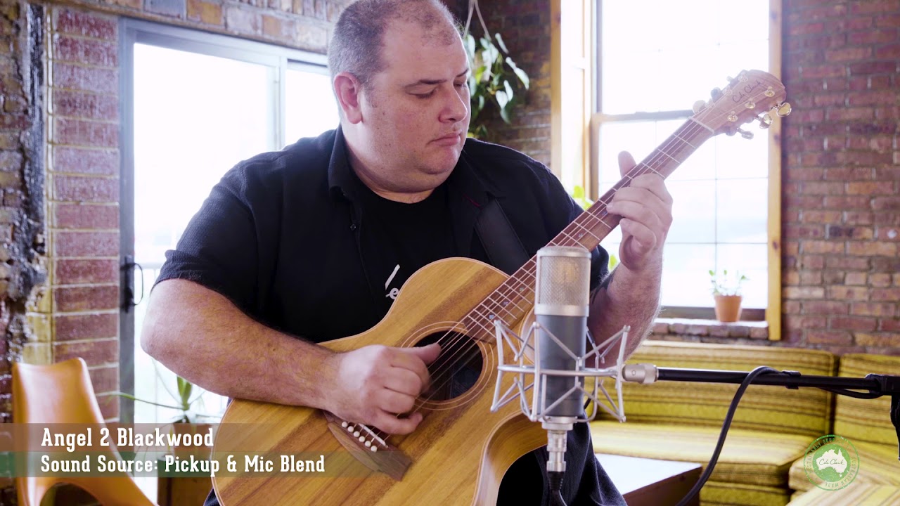 Cole Clark: AN2EC Blackwood Sound Demo