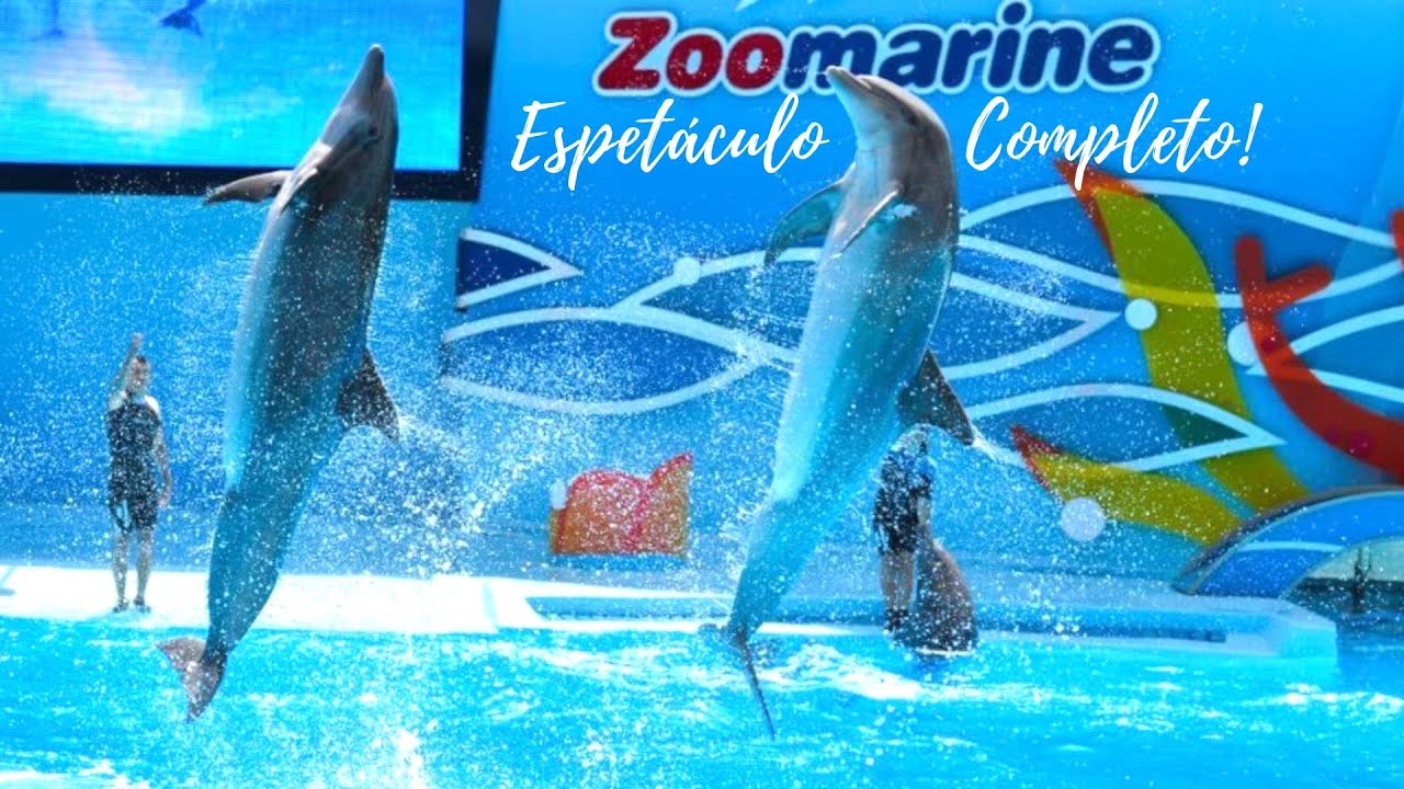 Espetáculo completo dos GOLFINHOS 2022 | Zoomarine Algarve Portugal