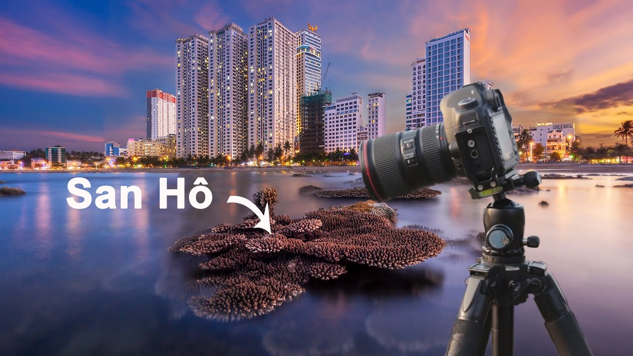Vẻ Đẹp Của San Hô Khi Thành Phố Lên Đèn