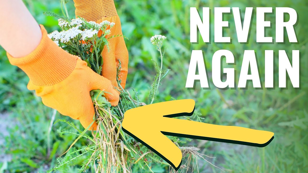 Must Have Tools for a Weed-Free Garden