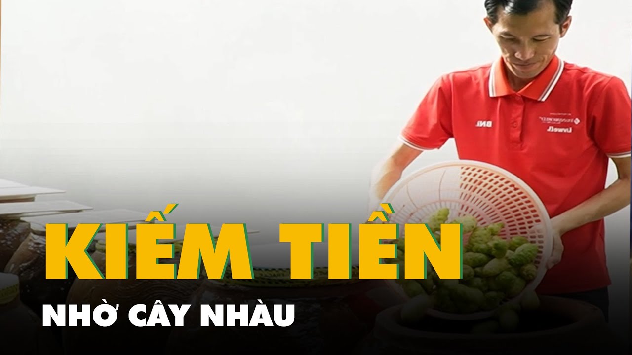 Người đàn ông bỏ phố về quê U Minh Hạ, kiếm 2 tỉ mỗi năm nhờ cây nhàu