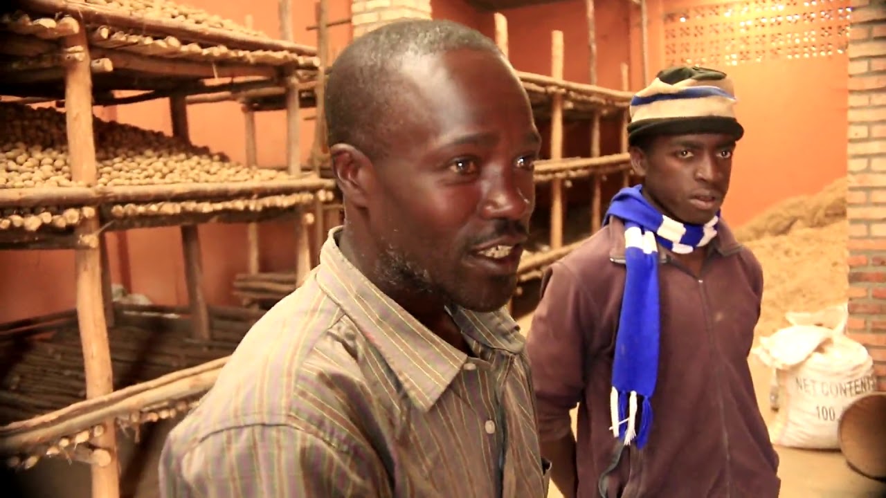Ubutubuzi bw'imbuto y'ibirayi mu GASE, bufashije benshi guhinga kijyambere
