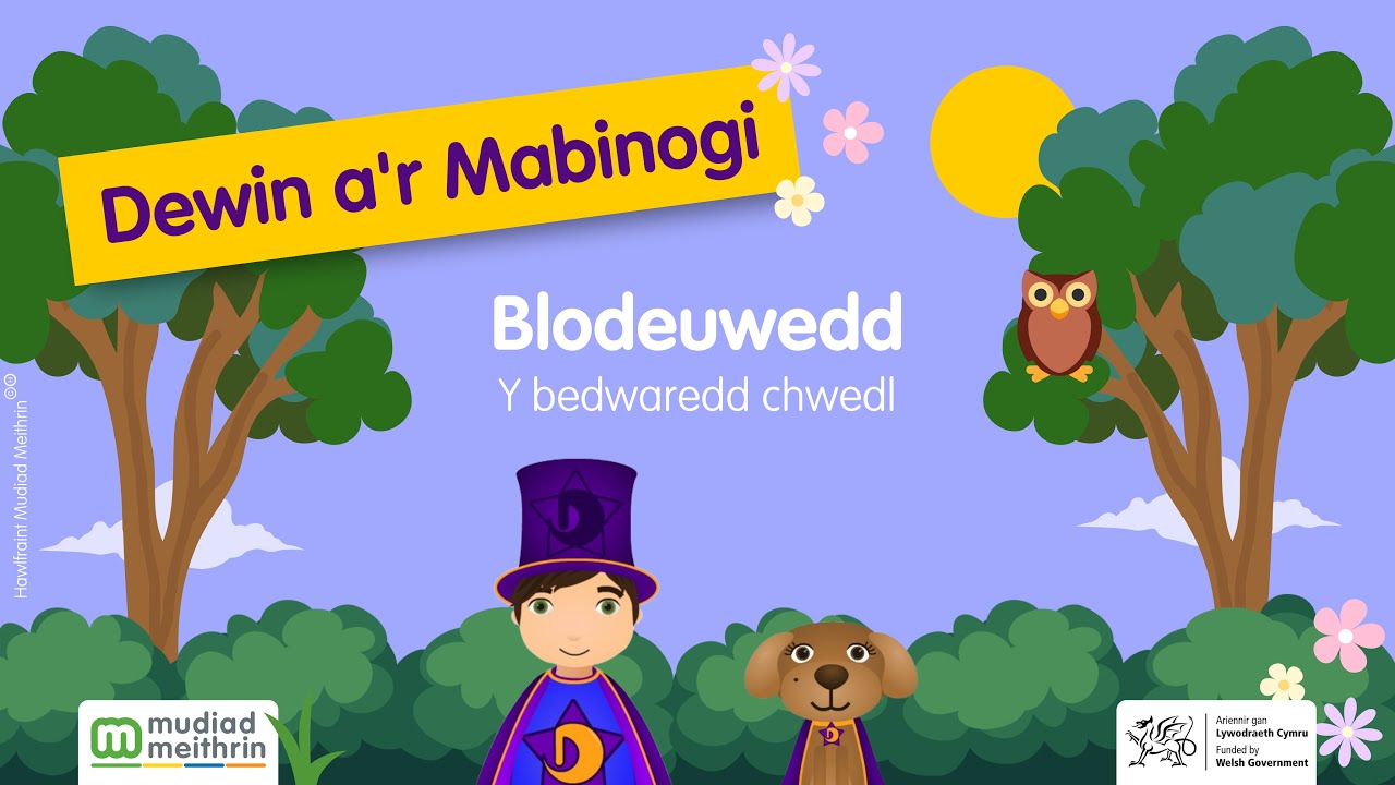 Dewin a'r Mabinogi - Chwedl Blodeuwedd