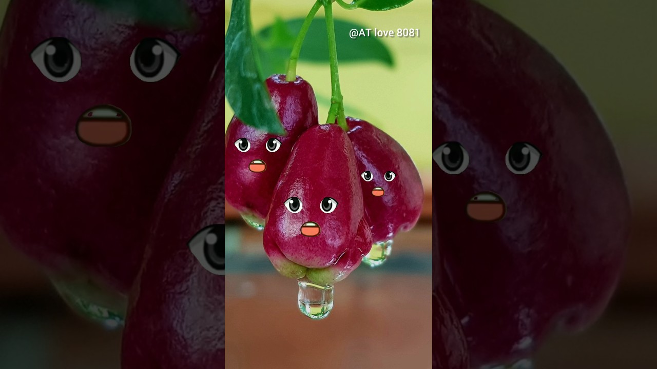 Alif un baa taun saa shorts #alifunbaa #fruit #cutebaby #arabicsong