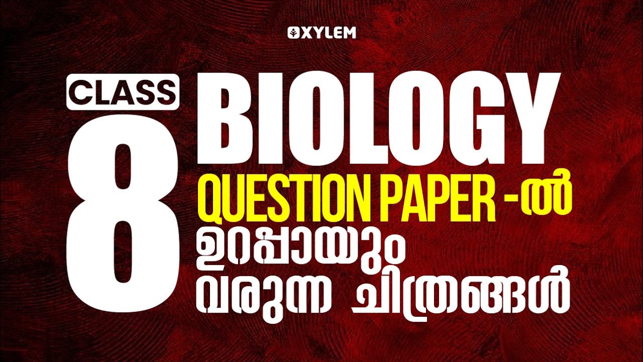 CLASS 8 BIOLOGY - Question Paper - ൽ ഉറപ്പായും വരുന്ന ചിത്രങ്ങൾ | XYLEM Class 8