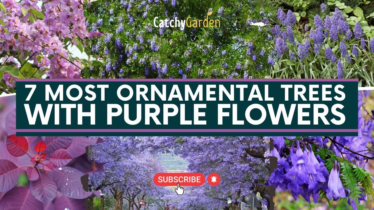 7 Most Beautiful Ornamental Trees With Purple Flowers 🌷🌳 // Gardening Tips