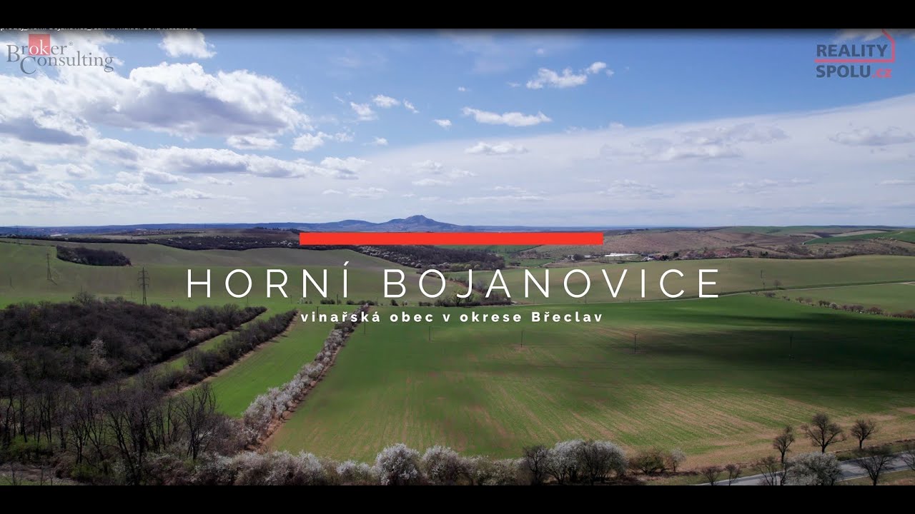 Rodinný dům a ovocný sad (stavební pozemek) na prodej - Horní Bojanovice, Hustopeče
