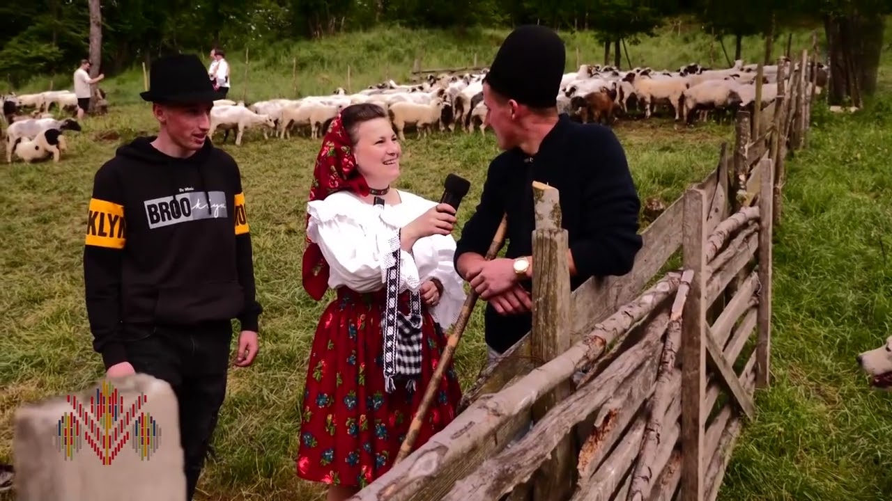 ZESTREA RĂDĂCINILOR STRĂBUNE - RUPTUL STERPELOR, PETROVA   MARAMUREȘ - PARTEA A DOUA
