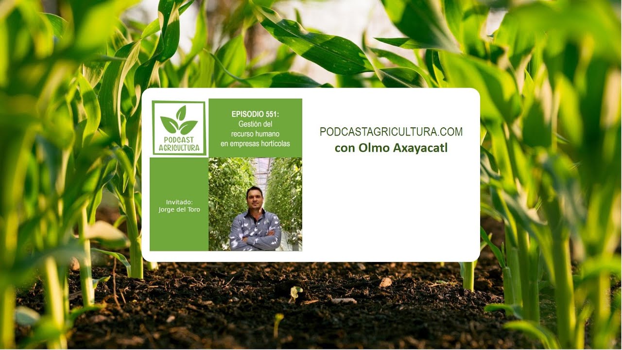 551 Gestión del recurso humano en empresas hortícolas con Jorge del Toro