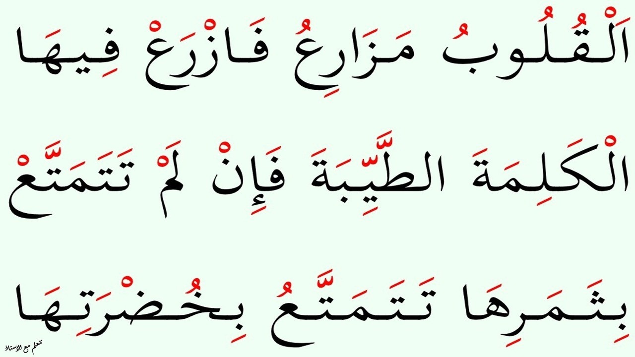 Мы учимся читать мудрые изречения, изучая слова Лукмана Мудрого | Эпизод: 394
