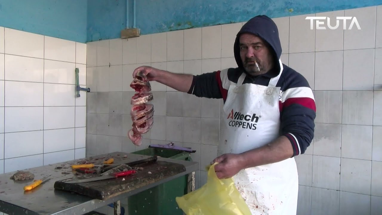 Ulqin - Shkodër, si qëndrojnë me peshkimin?