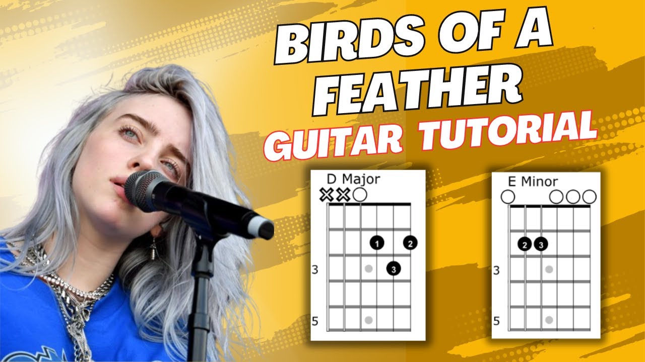 Birds of a Feather Billie Eilish Guitar Tutorial