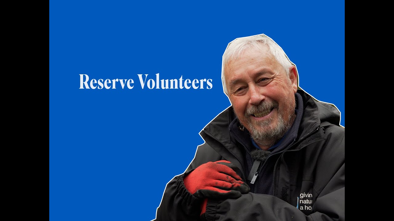 Join the volunteers working on the RSPB's nature reserves