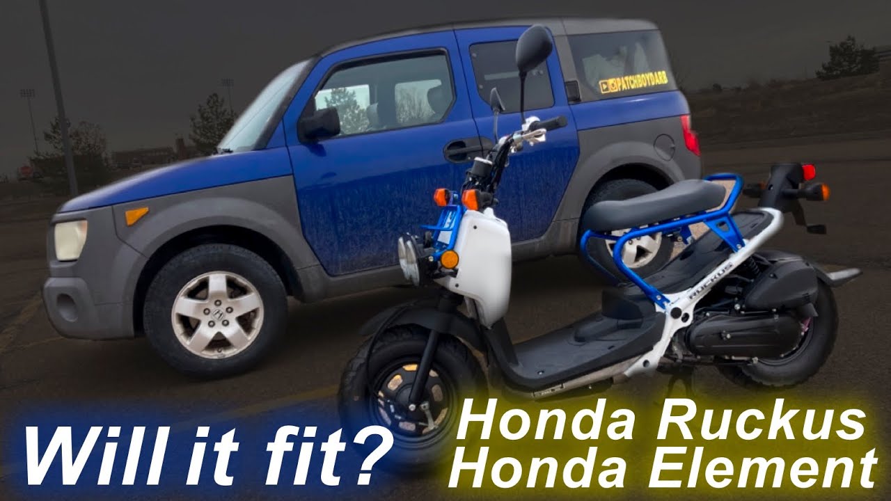 Honda Ruckus INSIDE Of A Honda Element