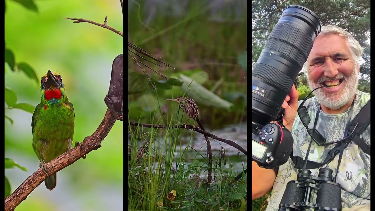 me playing with da vinci resolve again, this time Thailand birds all together. this is part one..