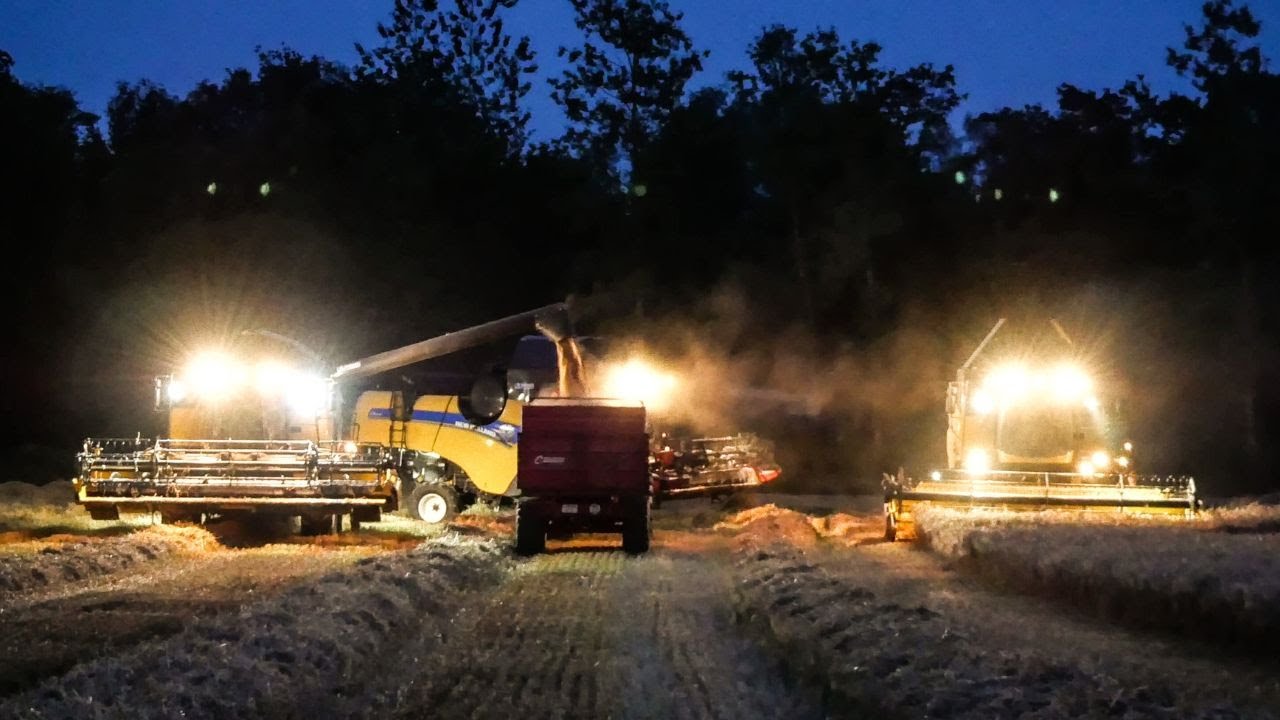 Moisson d'orge 2024 // CUMA des Bois //